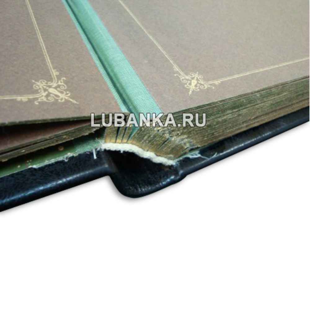 Фотоальбом в стиле XIX века, малый